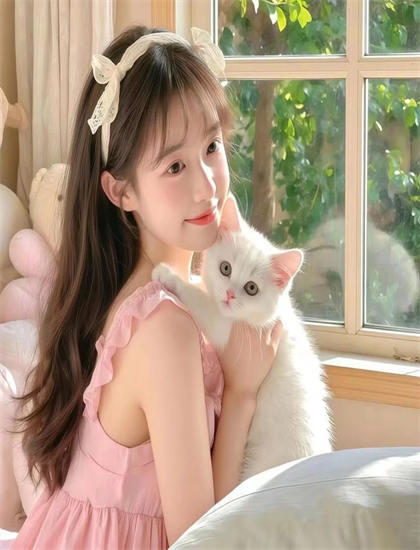 美学鉴赏：《相遇在国境之南》平台的播出数据与用户画像——揭秘不为人知的制作内幕